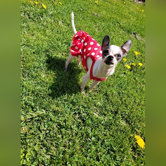 Welcomeee to my closet !! - Picture 3 of 4